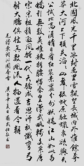 苏武仕作品17《沁园春 雪》